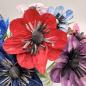 Preview: Anemone - in vielen Farben